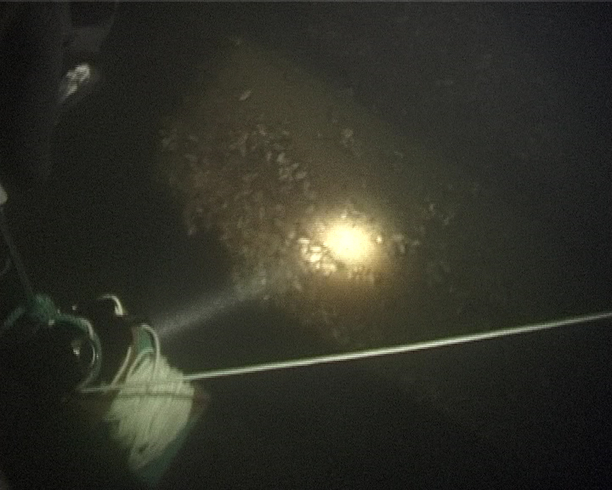 Bild från marinens film.